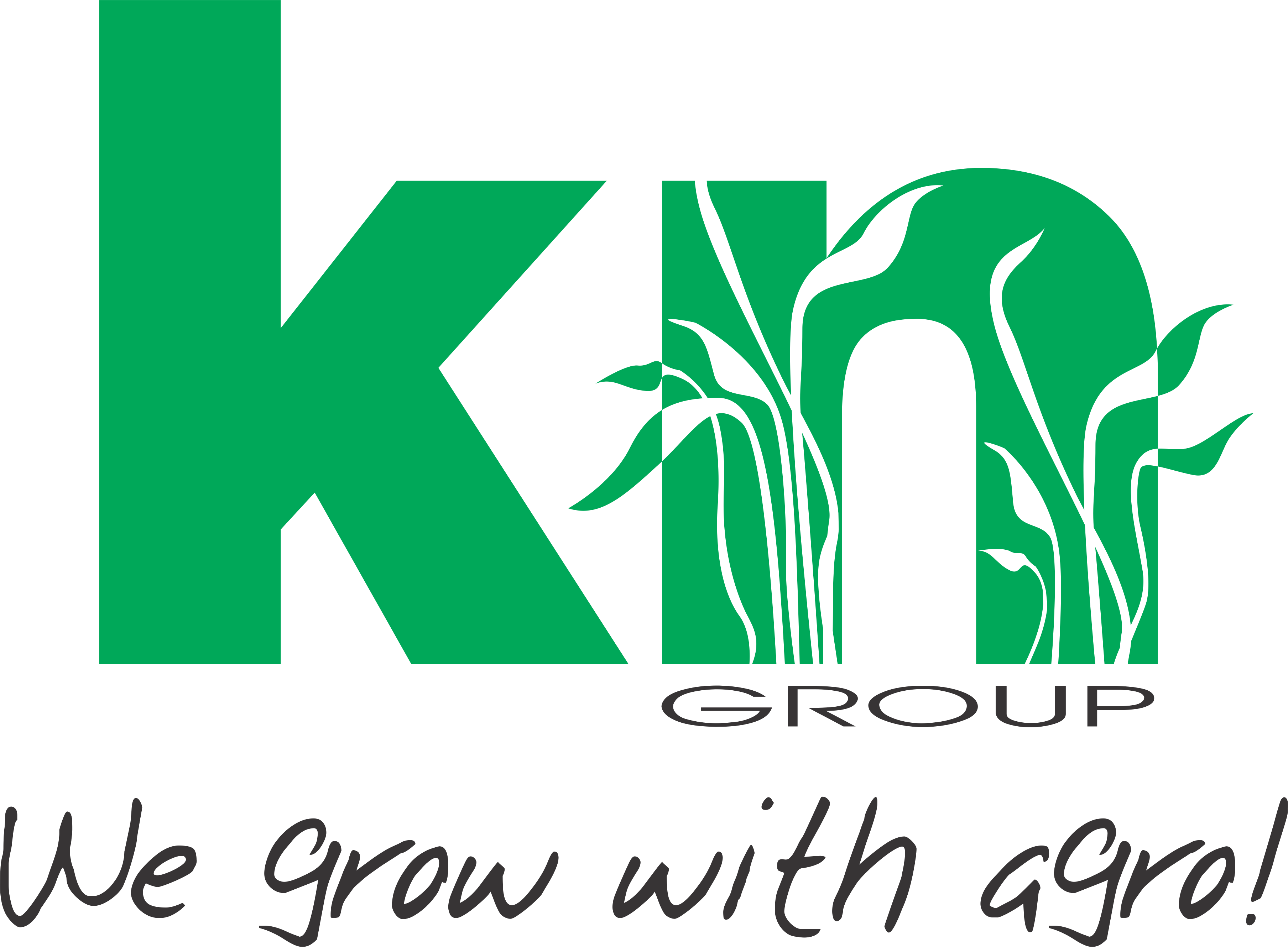 KN Agri Resources Ltd.